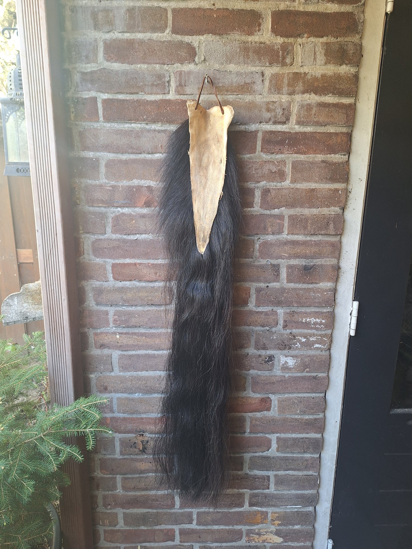 Horse tail #7, complete tail