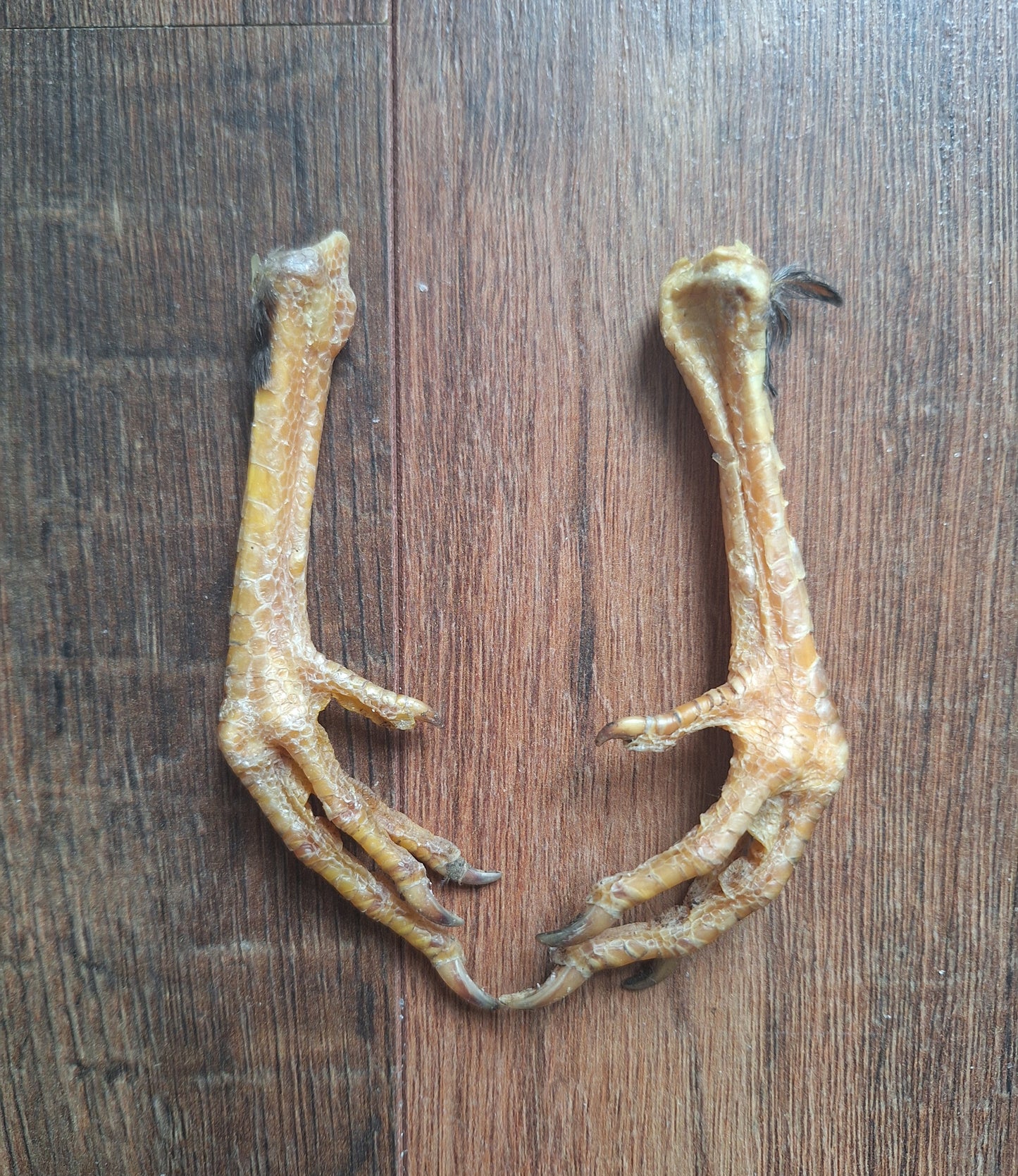 Chicken lower legs, set of 2