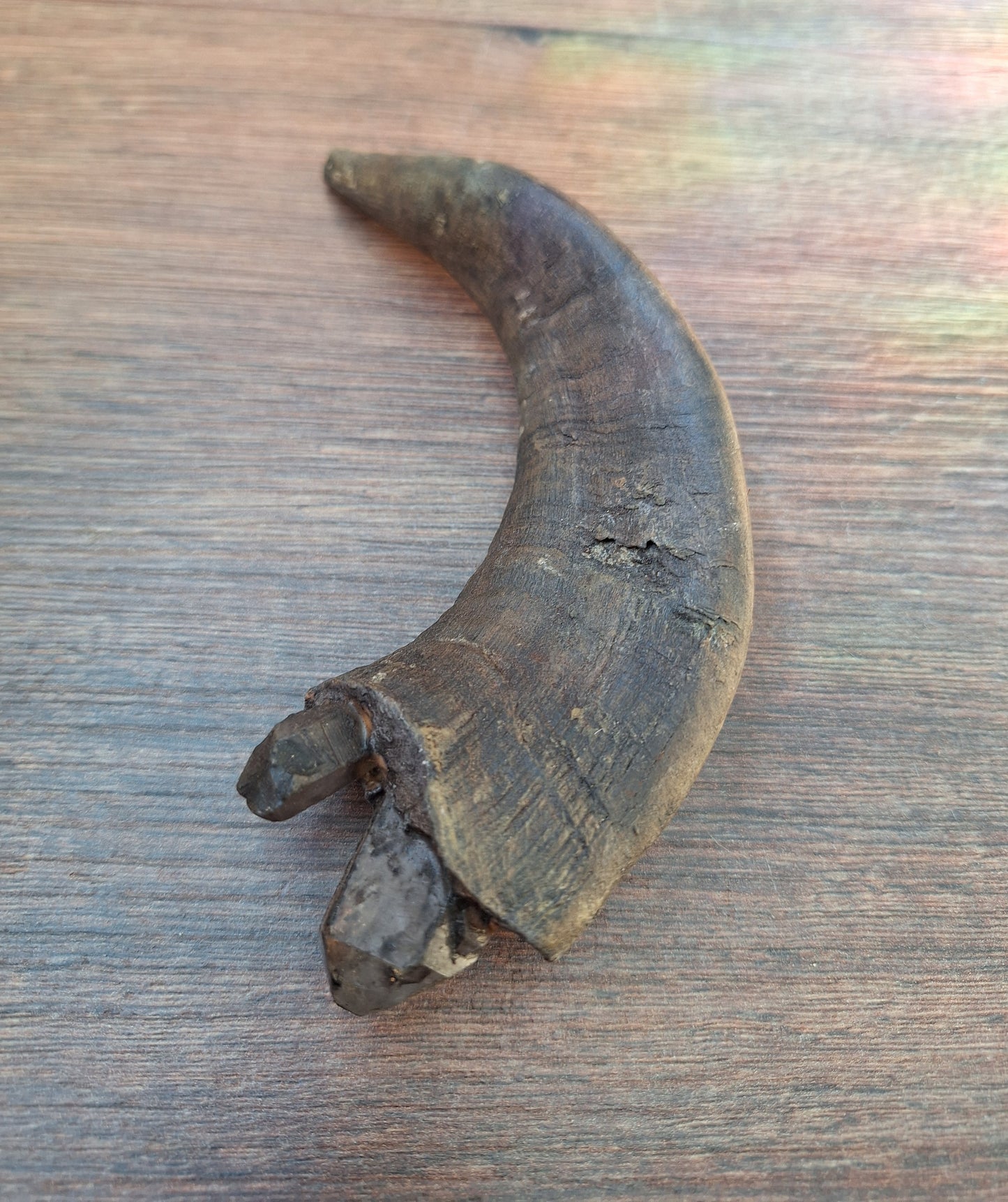 Old Nepalese shamanic horn stick #4