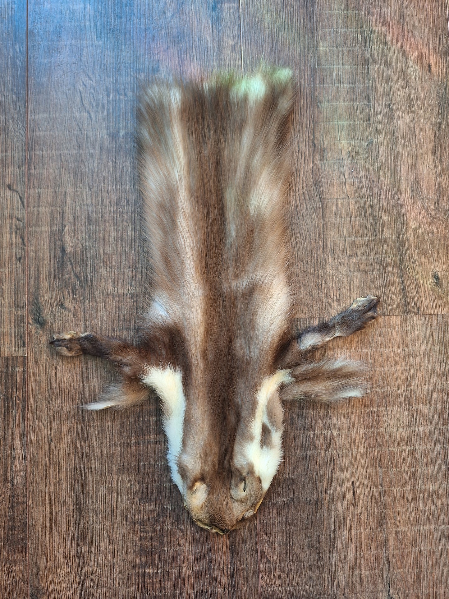 Stone marten hide #6, crafting piece