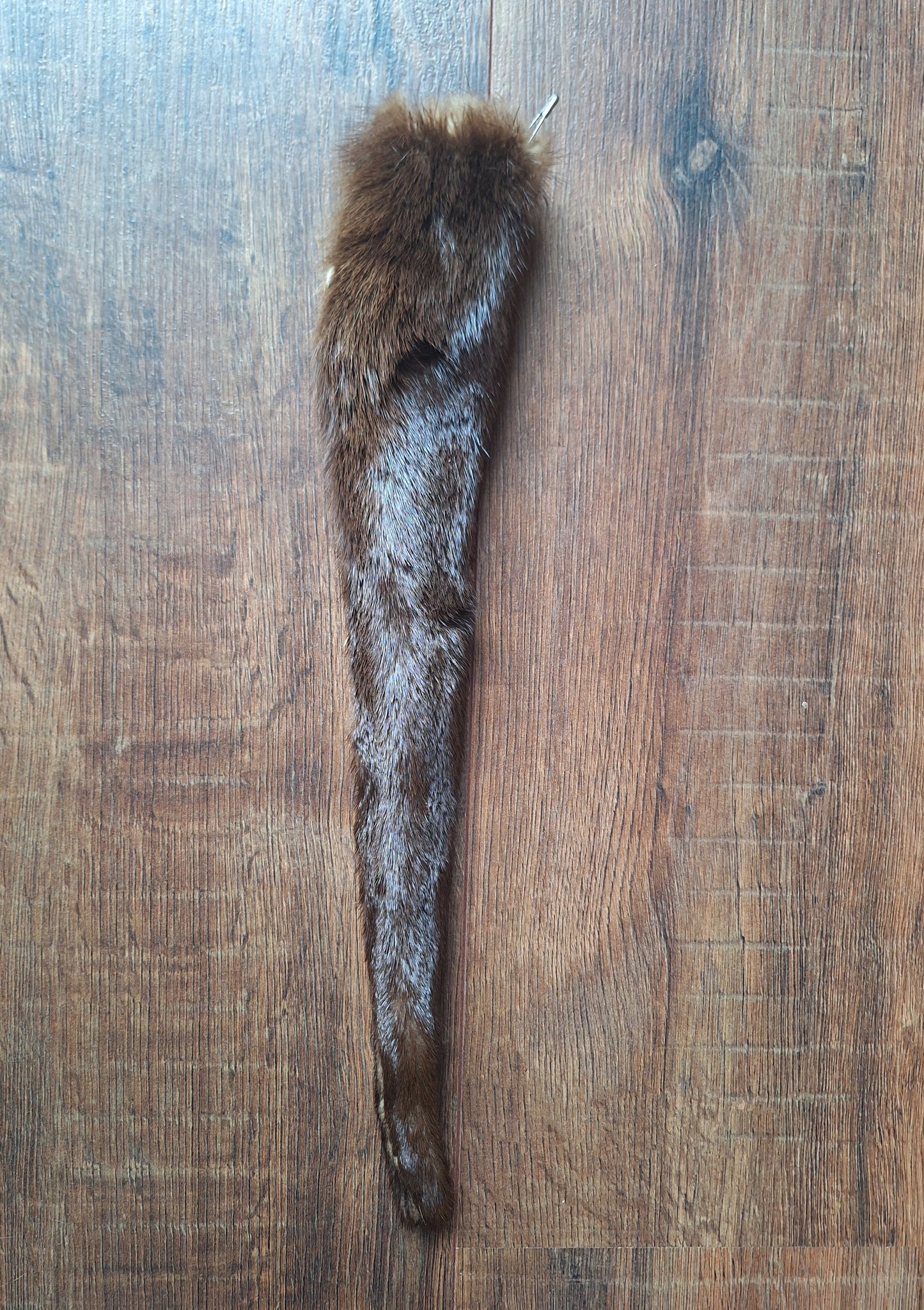 Otter tails