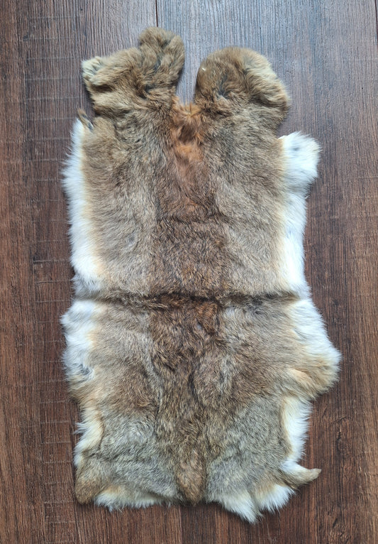 Rabbit hide #24