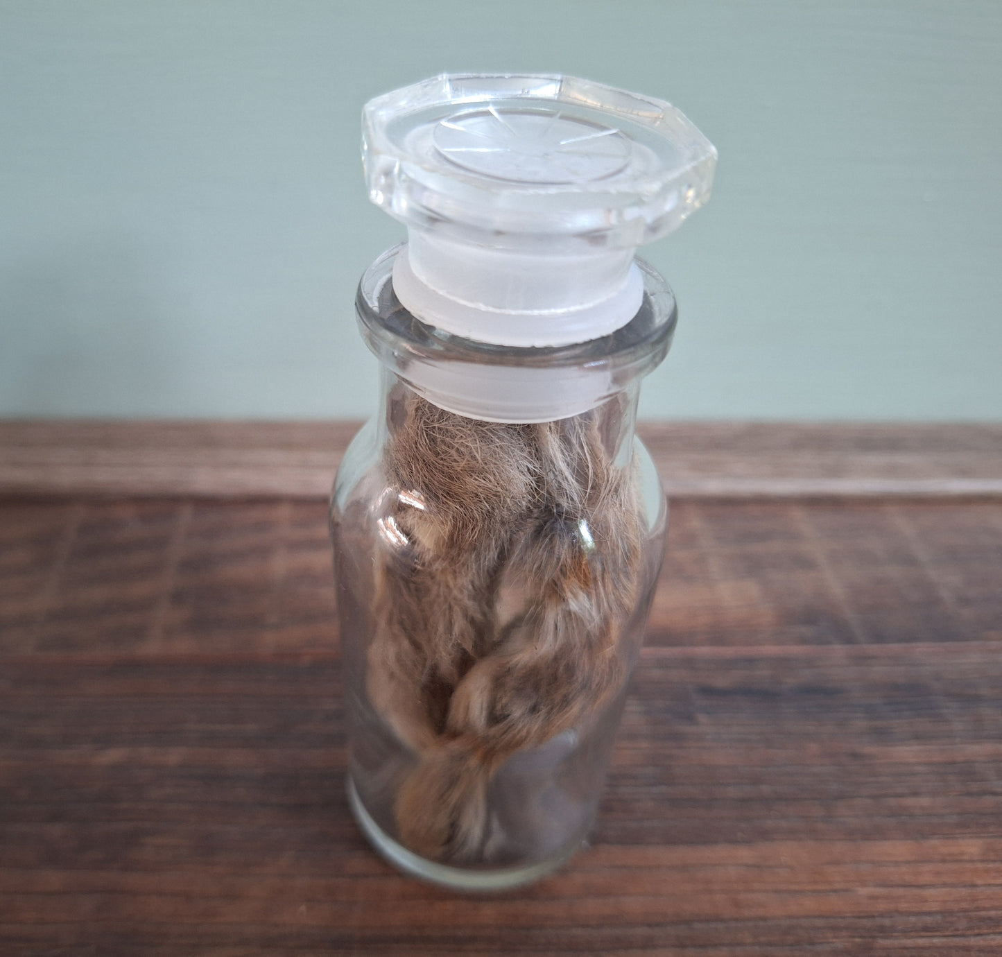 Hare paws, B-quality, in glass bottle