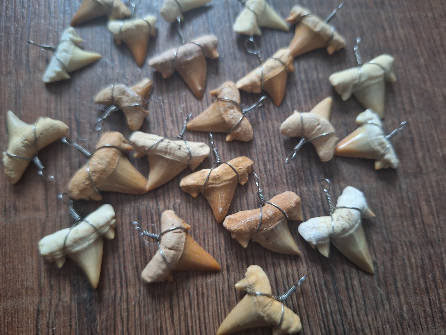 Shark tooth pendant