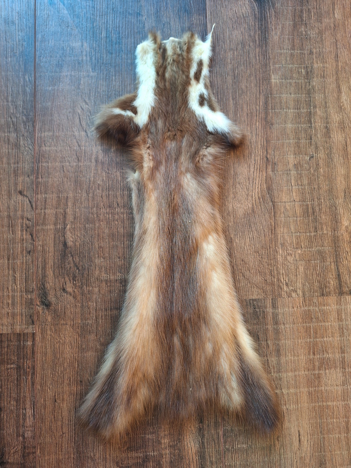 Stone marten hide #8, crafting piece