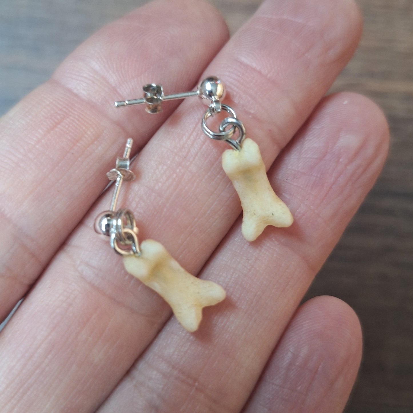Badger foot bones amulet earrings
