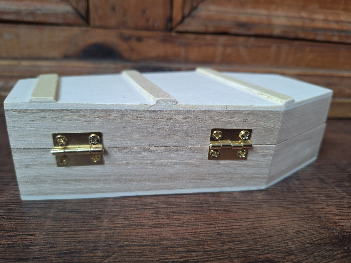 Crow skull and claws set in coffin