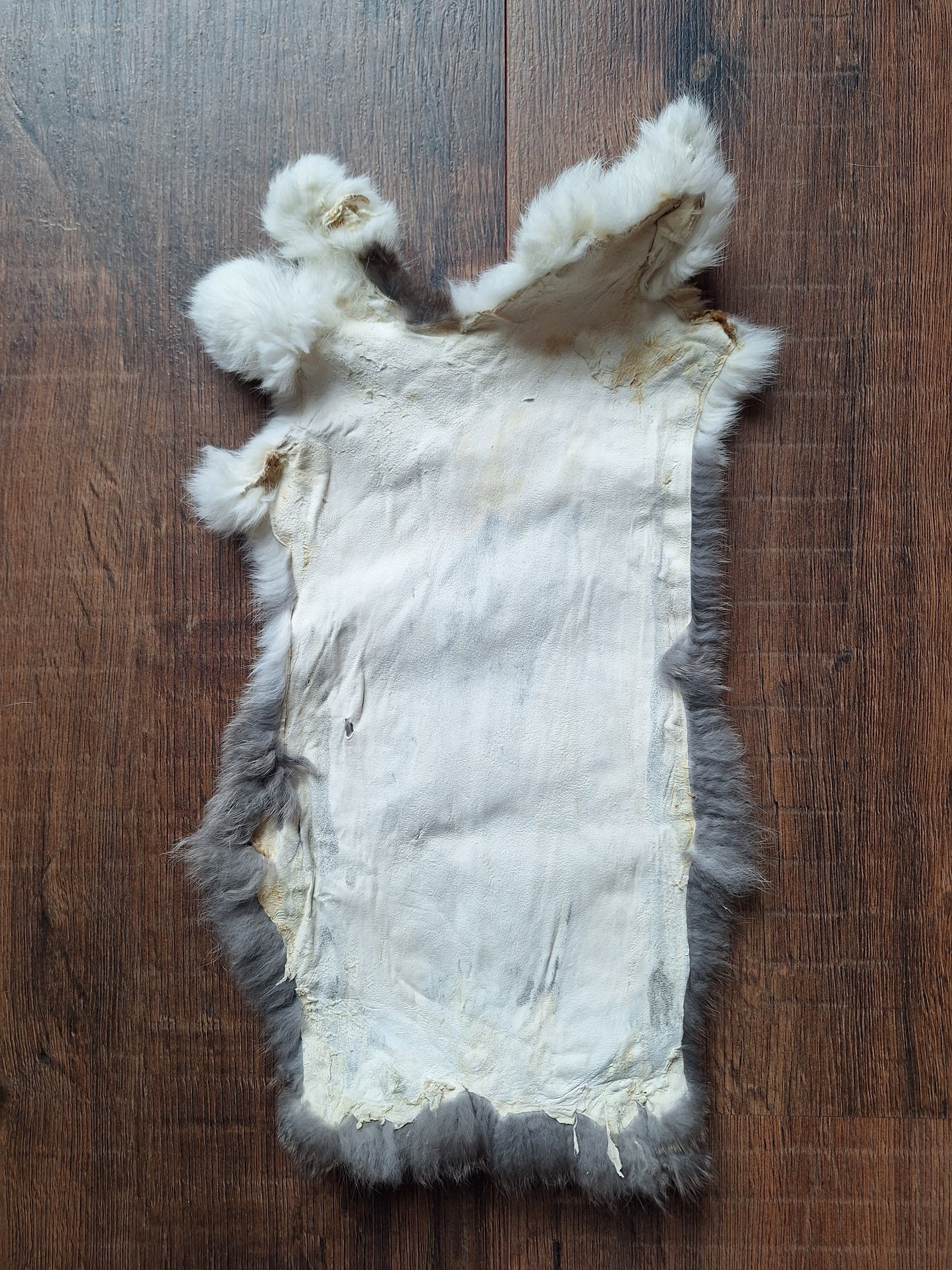 Rabbit hide #6