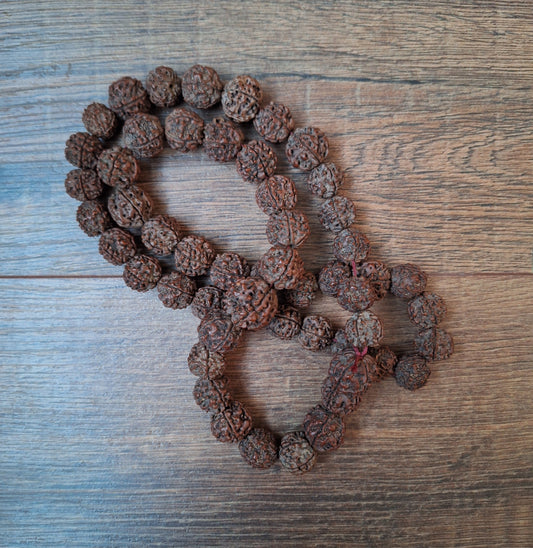 Rudraksha bead strand