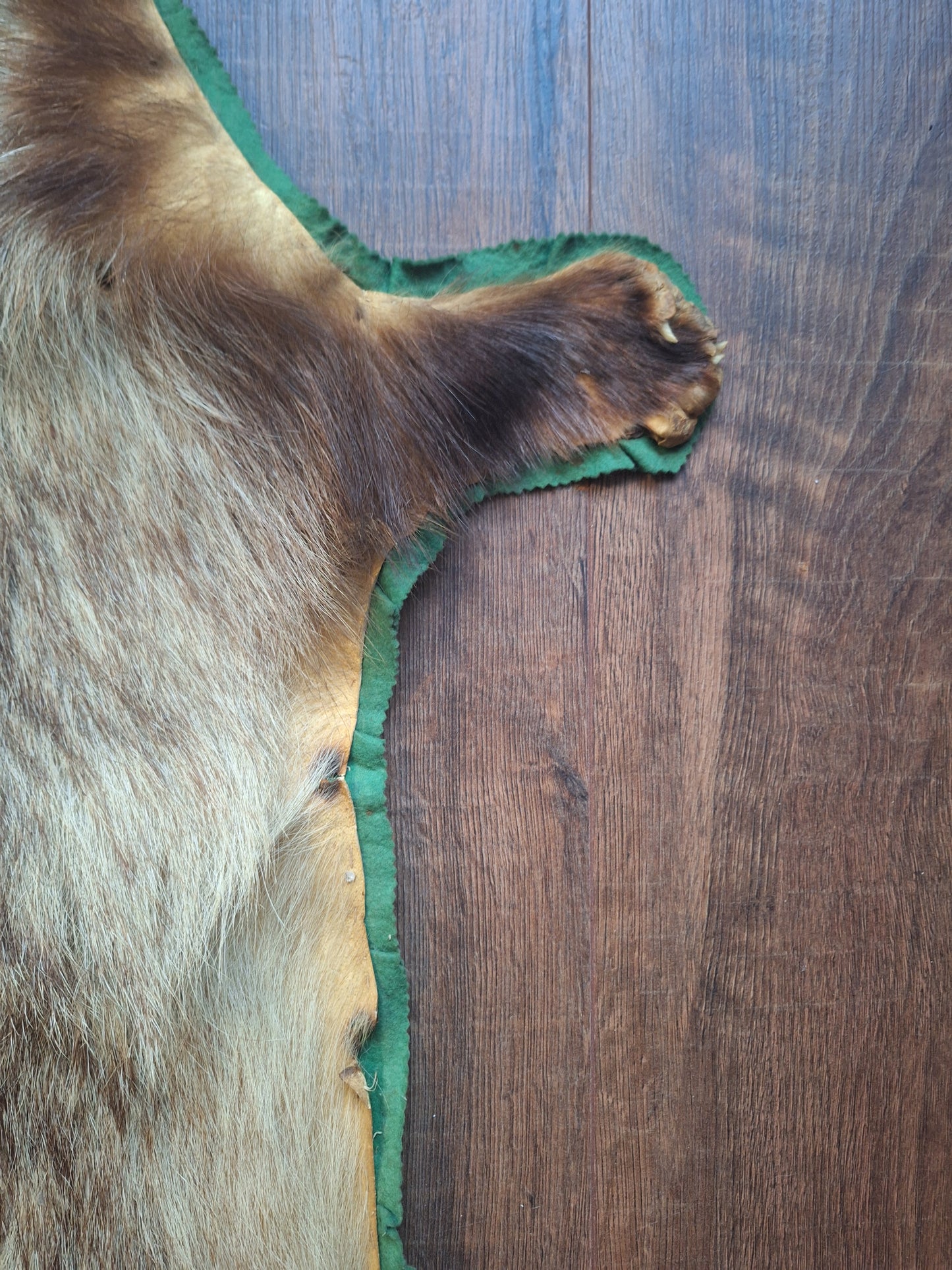 Vintage badger hide preparation