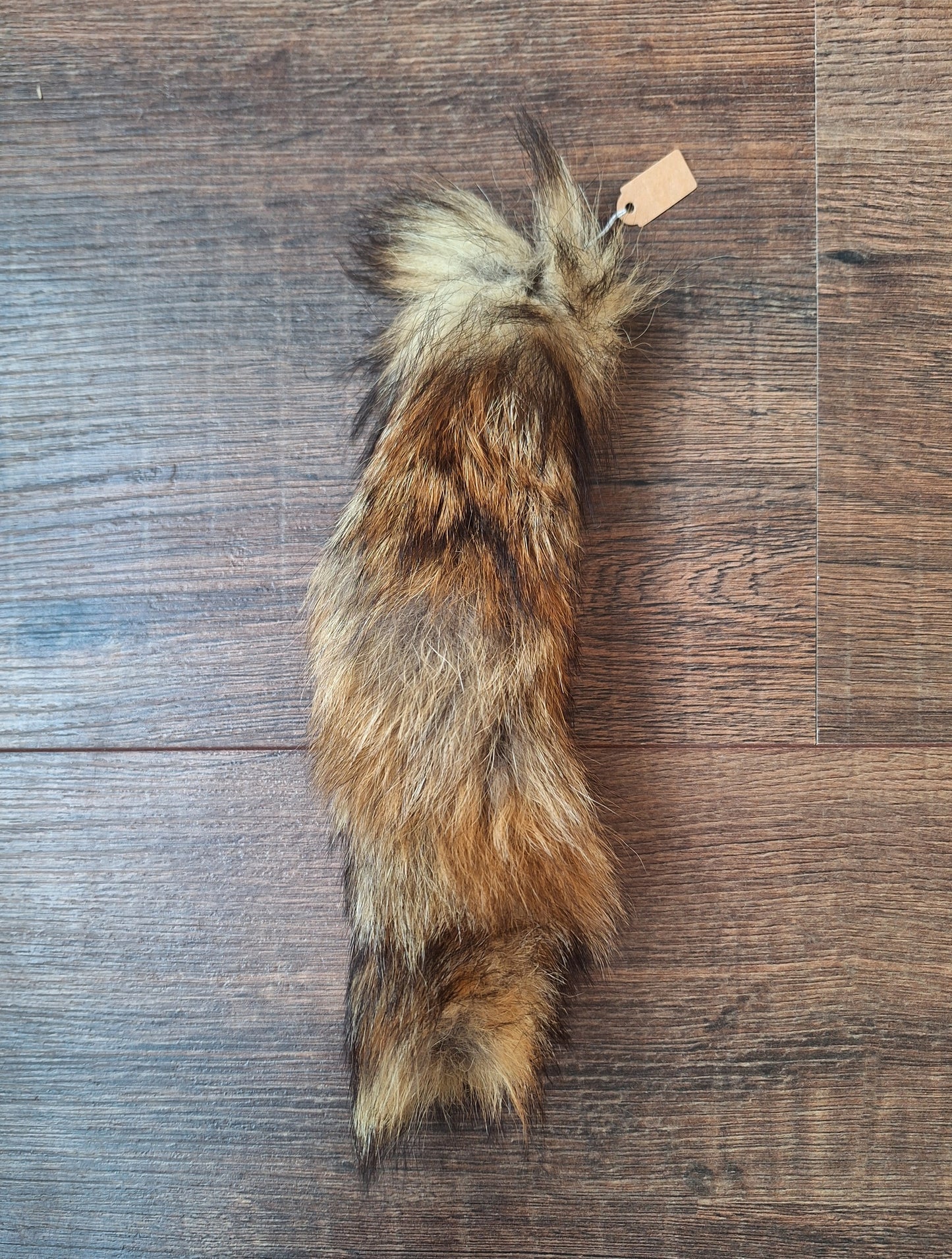 Red fox tails