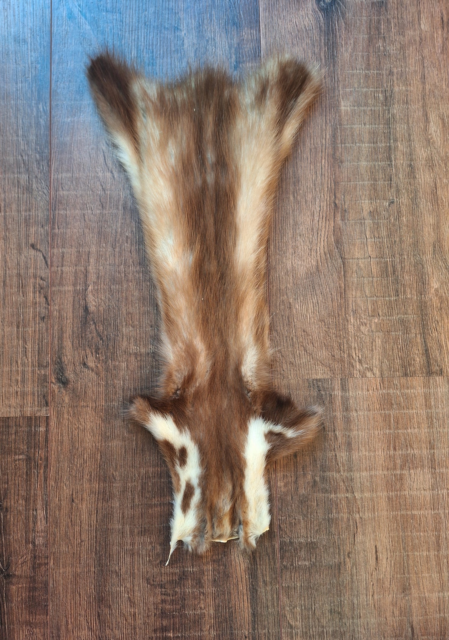 Stone marten hide #8, crafting piece