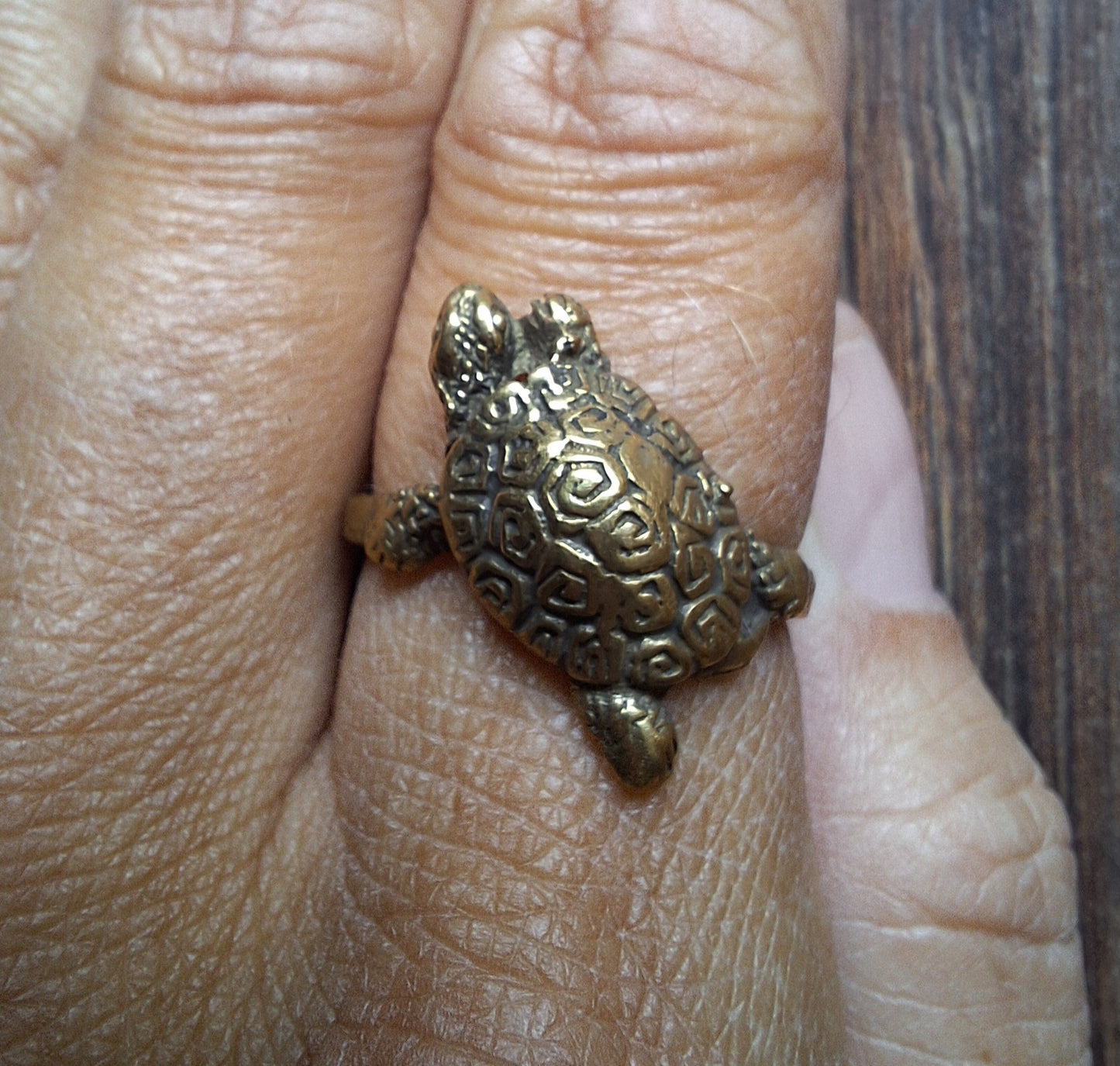 Brass ring Turtle