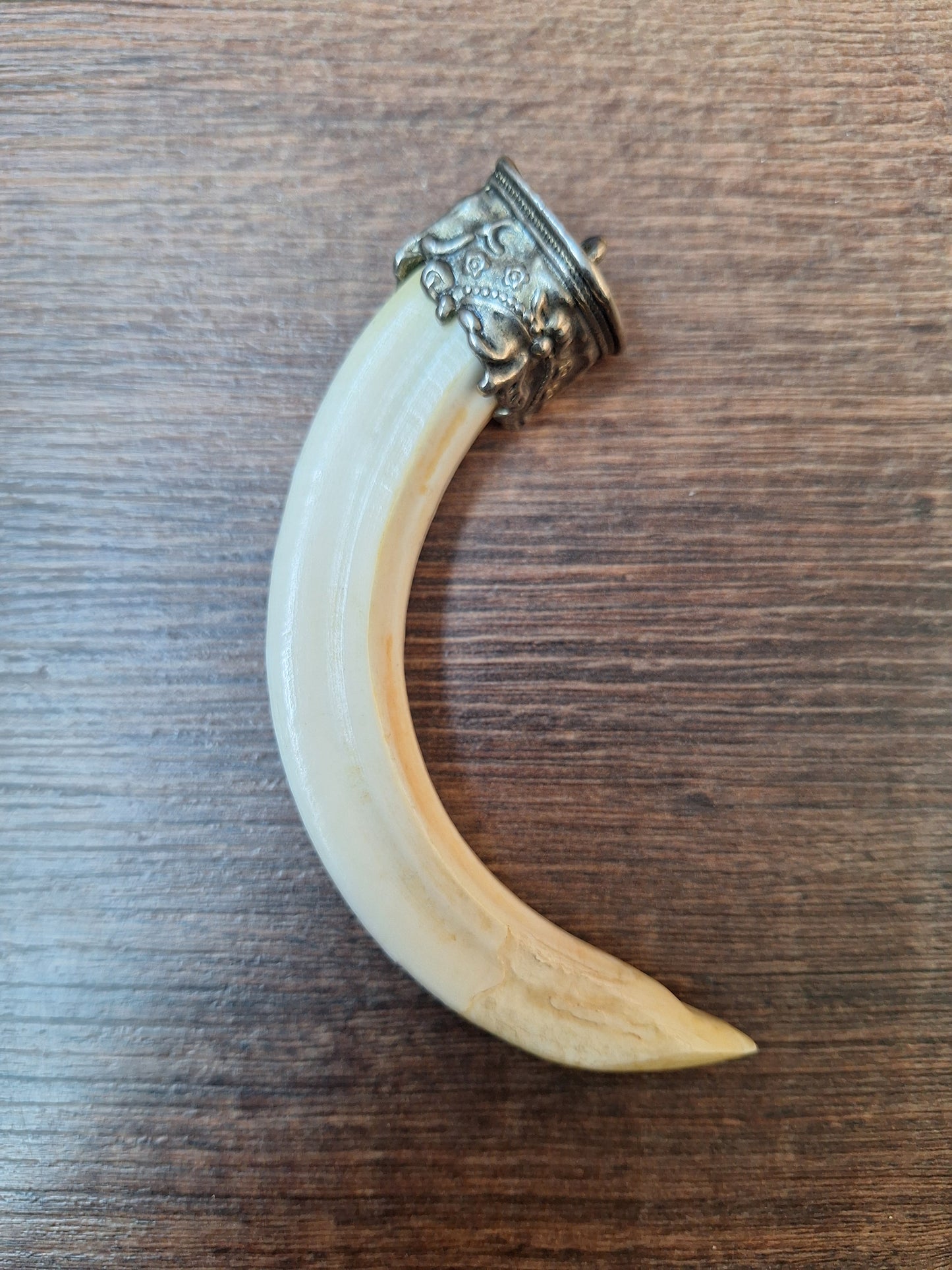 Vintage Nepalese wild boar tusk pendant