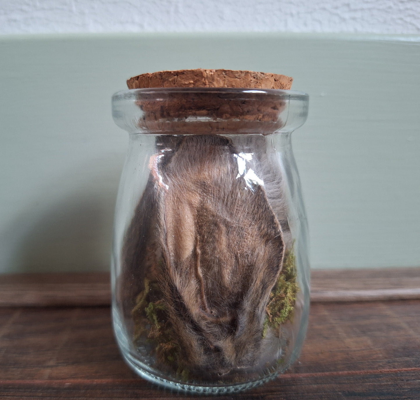 Rabbit ears and tail set in glass jar