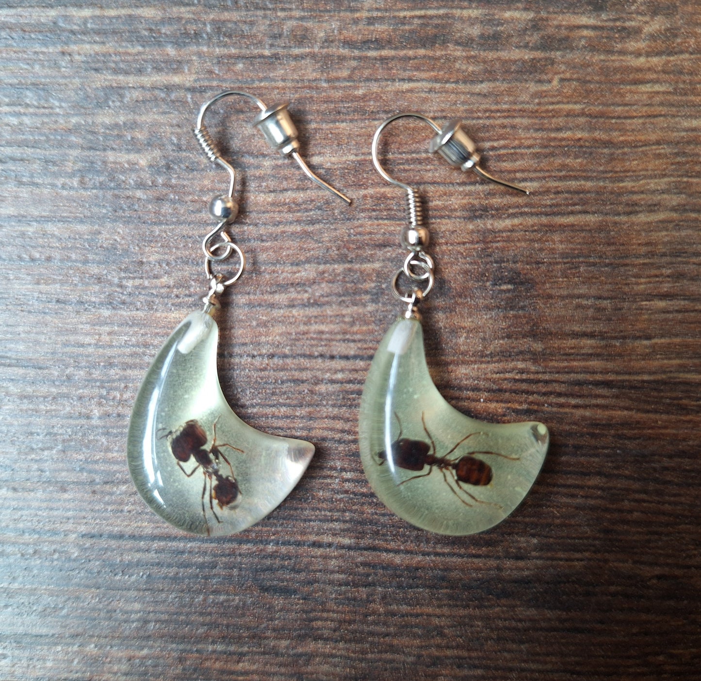 Ants in glow-in-the-dark resin earrings