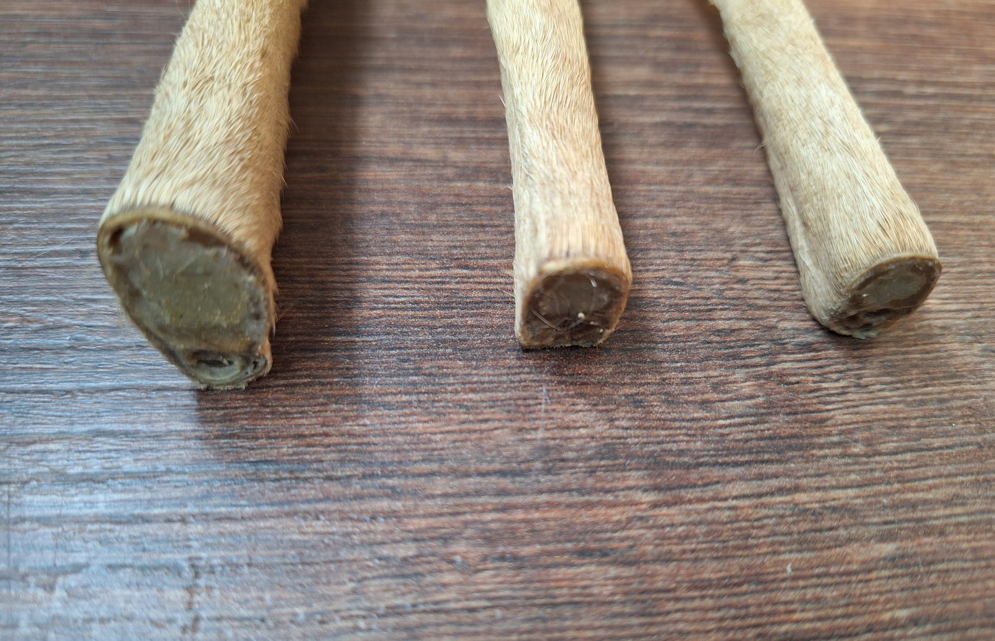 Vintage roe deer lower legs