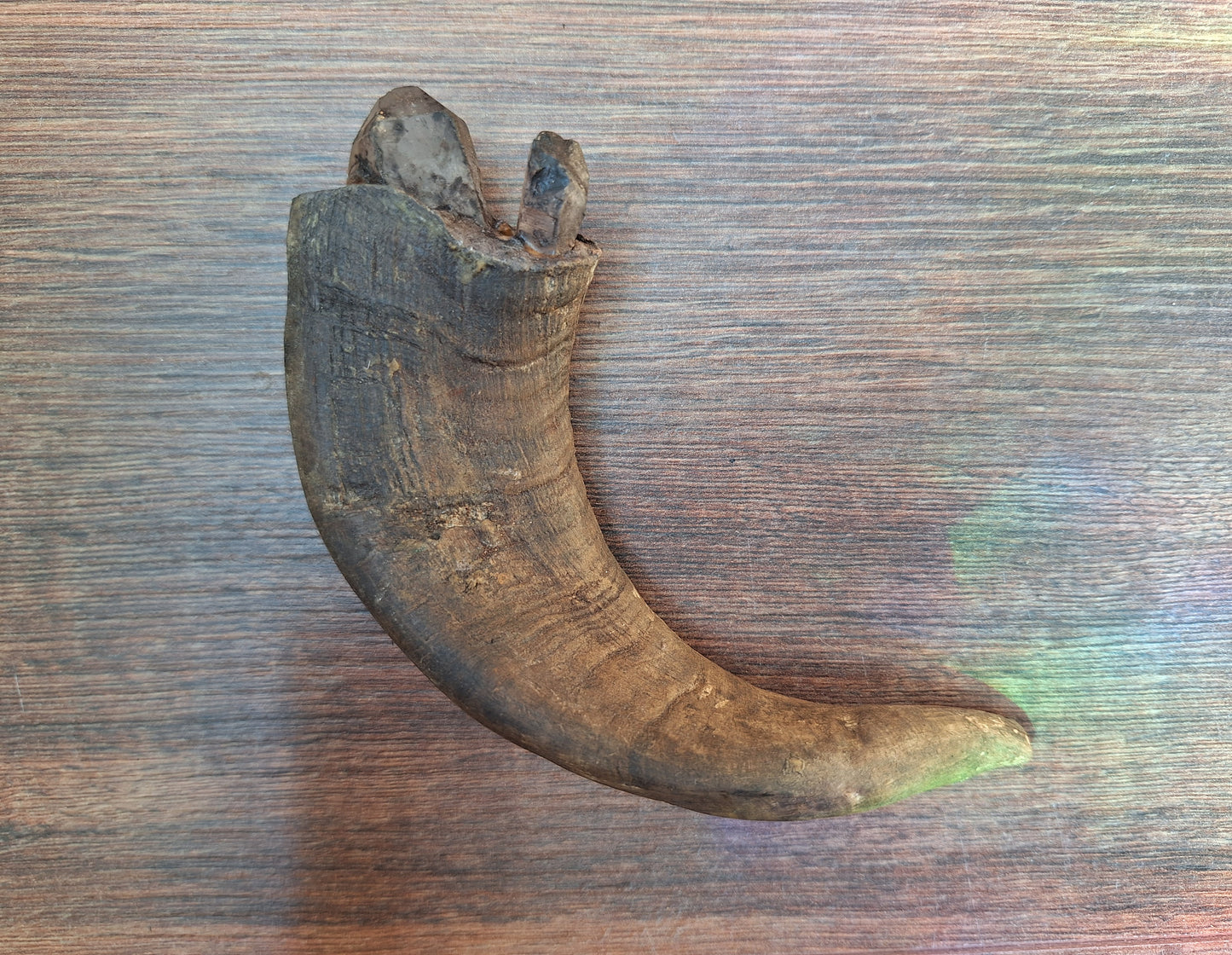Old Nepalese shamanic horn stick #4